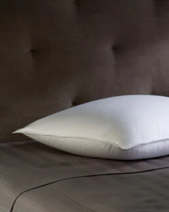 Flash Sale 🔥 Belle Epoque Castle Chateau Medium-Fill Down Back Sleeper Pillow Home Pillow Inserts ✔️