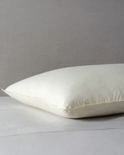 Hot Sale 👏 Belle Epoque Proprietors Medium Down Fill Pillow Home Pillow Inserts ✔️