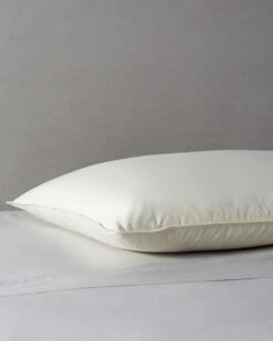 Best reviews of 😍 Belle Epoque Delight Soft Fill Down Pillow Home Pillow Inserts 🛒